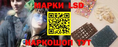 дмт Новозыбков