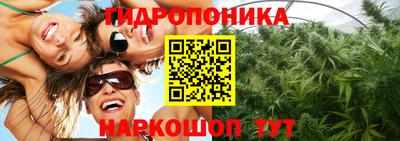 спайс Новодвинск