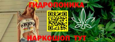 дмт Новозыбков