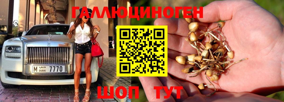 Скопин  Псилоцибиновые грибы мицелий  Вход с VPN  Псилоцибиновые грибы мухоморы 